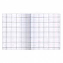 Тетрадь ВЕЛИКИЕ ИМЕНА. Архимед, 12 л. крупная клетка, плотная бумага 80 г/м2, обложка тонированный офсет, BRAUBERG, 105715