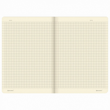 Тетради 40 л. в клетку обложка SoftTouch, НАБОР 3 шт., бежевая бумага 70 г/м2, сшивка, А5 (147х210 мм), JOY, BRAUBERG, 403791