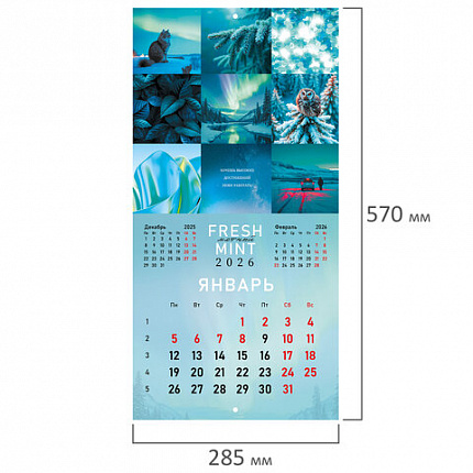 Календарь настенный перекидной 2026г, BRAUBERG, 12 листов, 28,5х28,5см, Калейдоскоп, 116936