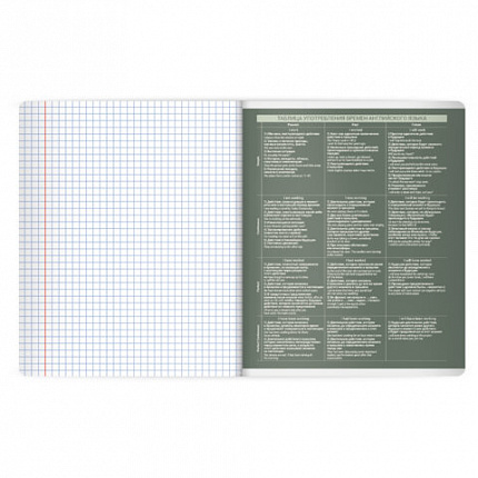Тетрадь предметная MonoPastel 48л, пластиковая обложка, АНГЛИЙСКИЙ ЯЗЫК, клетка, подсказ, BRAUBERG, 405503