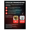 Антинакипин 100 г, ЗОЛУШКА, порошок, Б31-1