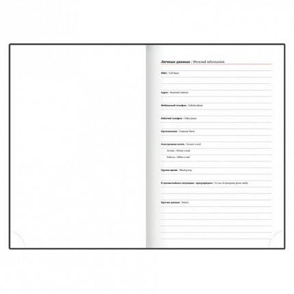 Ежедневник датированный 2026 А5 138x213мм BRAUBERG Senator, под кожу, зеленый, 117092