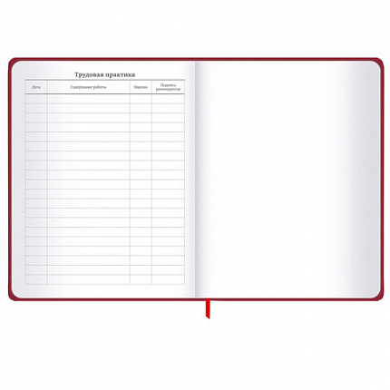 Дневник 1-11 класс 48 л., твердый, BRAUBERG, матовая ламинация, резинка, закладка-ляссе, с подсказом, "Мото", 107236