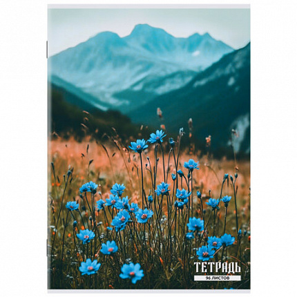 Тетрадь А4 96 л. STAFF College скоба, клетка, офсет №2 ЭКОНОМ, обложка картон, ПРИРОДА, 405621