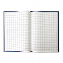 Книга учета 96 л., клетка, твердая, бумвинил, блок офсет, А4 200х290 мм, BRAUBERG, синяя, 130069
