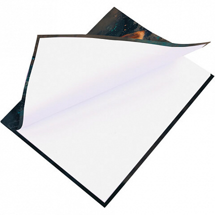 Дневник 5-11 класс 48 л., гибкая обложка, BRAUBERG, глянцевая ламинация, с подсказом, "Cat", 107181