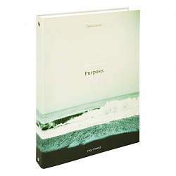 Тетрадь на кольцах БОЛЬШАЯ А4, 220х305 мм, 100 л., твердый картон, клетка, BRAUBERG, "Nature", 405411