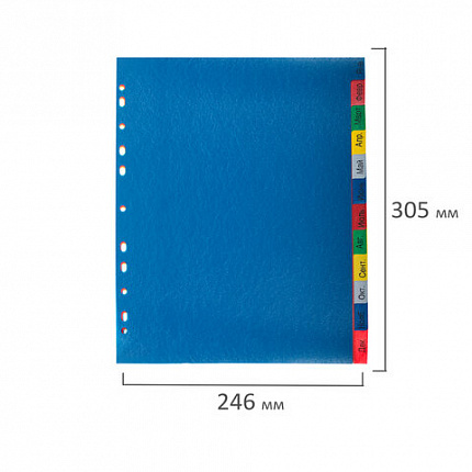 Разделитель пластиковый широкий BRAUBERG А4+, 31 лист, цифровой 1-31, оглавление, цветной, 225624