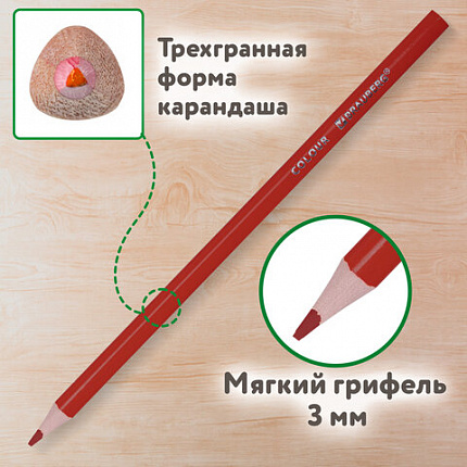 Карандаши цветные BRAUBERG KIDS NEW, 50 цветов, трехгранные, грифель 3 мм, 182004