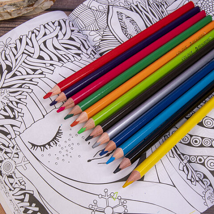 Карандаши цветные BRAUBERG PREMIUM, 12 цветов, трехгранные, грифель мягкий 3,3 мм, 181651