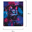 Мешок для обуви BRAUBERG PREMIUM, карман, подкладка, светоотражайка, 43х33 см, "Neon cat", 271621