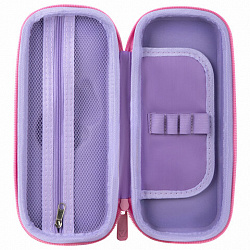 Пенал BRAUBERG, 1 отделение, 1 откидная планка, EVA, 22х10х5 см, "Disturbed", 273513