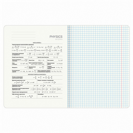 Тетрадь предметная "КОТ-ЭНТУЗИАСТ" 48 л., TWIN-лак, ФИЗИКА, клетка, подсказ, BRAUBERG, 404566