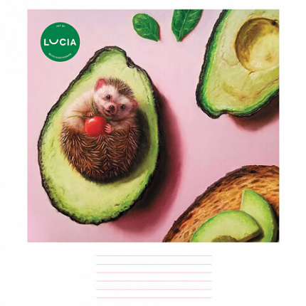 Тетрадь 24 л., HATBER клетка, обложка картон, "Узнай себя!" (Lucia Heffernan) (микс в спайке), 086740, 24Т5В1