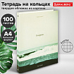 Тетрадь на кольцах БОЛЬШАЯ А4, 220х305 мм, 100 л., твердый картон, клетка, BRAUBERG, "Nature", 405411