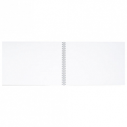 Альбом для рисования, А4, 48 л., гребень, обложка картон, BRAUBERG, 205х290 мм, "Летний пейзаж" (2 вида), 106328