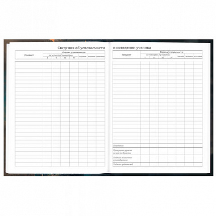 Дневник 5-11 класс 48 л., гибкая обложка, BRAUBERG, глянцевая ламинация, с подсказом, "Cat", 107181