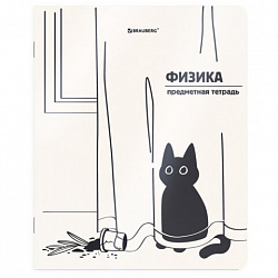 Тетрадь предметная КОТ-НЕПОСЕДА 48 л., пластиковая обложка, ФИЗИКА, клетка, подсказ, BRAUBERG, 405537