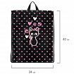 Мешок для обуви BRAUBERG KIDS, с петлей, 42х34 см, "Amazed cat", 271629