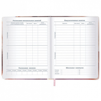 Дневник 1-11 класс 48 л., кожзам (твердая), застежка, BRAUBERG, "Котик с рыбкой", 107229