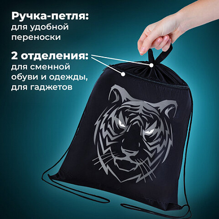 Мешок для обуви BRAUBERG, с петлёй, карман на молнии, 47х37 см, "Tiger", 271610