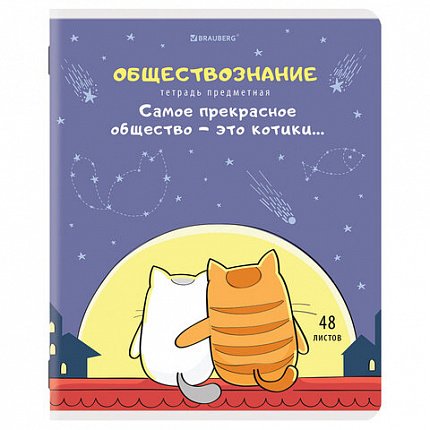 Тетради предметные, КОМПЛЕКТ 12 ПРЕДМЕТОВ, 48 л., TWIN-лак, BRAUBERG, "КОТ-ЭНТУЗИАСТ", 404609