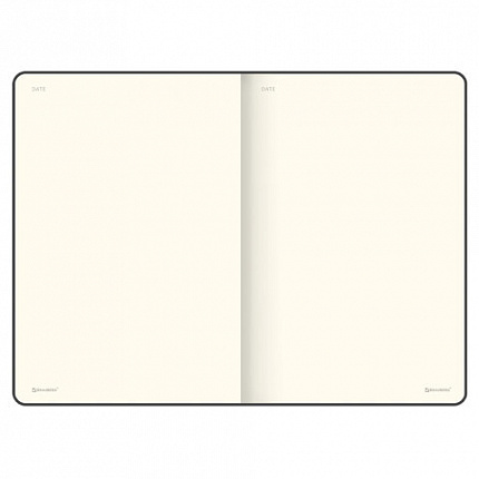 Блокнот-скетчбук А5 (148x218 мм), BRAUBERG "Metropolis Mix", под кожу, 80 л., без линовки, мятный, 113319