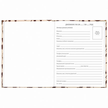 Дневник 5-11 класс 48 л., твердый, BRAUBERG, выборочный лак, с подсказом, "Магия", 106885