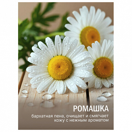 Мыло-крем туалетное 90 г, ЛЕСНАЯ ПОЛЯНКА "Ромашка", натуральная основа, 1100-2