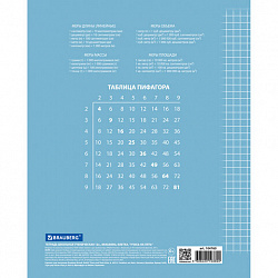 Тетрадь 12 л. BRAUBERG ЭКО "5-КА", клетка, обложка картон 170 г/м2, СИНЯЯ, 104760