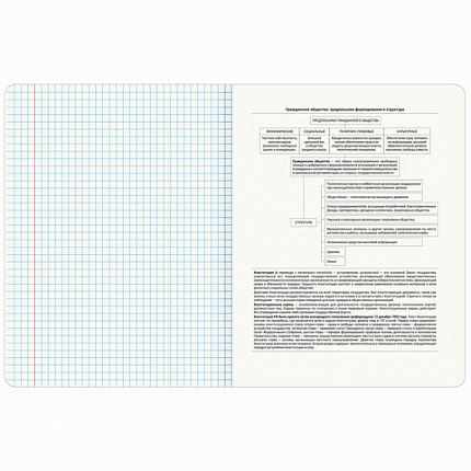 Тетрадь предметная МЕМЫ 48 л., TWIN-лак, ОБЩЕСТВОЗНАНИЕ, клетка, подсказки, BRAUBERG, 405097