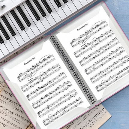 Папка тетрадь для нот А4, 20 вкладышей на 40 страниц, на гребне, пластик, РОЗОВАЯ, BRAUBERG, 404642