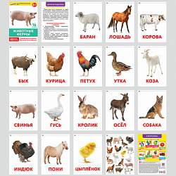 Карточки Домана, 8 развивающих брошюр по методике ГЛЕННА ДОМАНА, 145 изображений, ЮНЛАНДИЯ, 691022