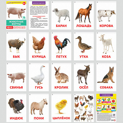 Карточки Домана, 8 развивающих брошюр по методике ГЛЕННА ДОМАНА, 145 изображений, ЮНЛАНДИЯ, 691022