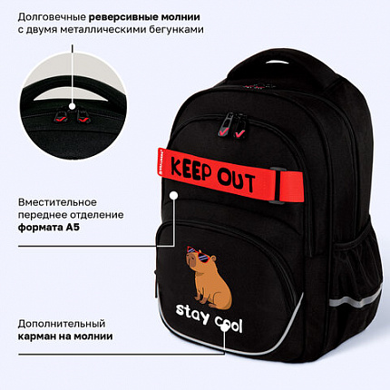 Рюкзак BRAUBERG MOTION, 2 отделения, 3 кармана, "Капибара", СВЕТЯЩИЙСЯ, 41х28х17 см, 272032