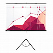 Экран Cactus Triscreen CS-PST-180x180, 180x180 см, 1:1, напольный, черный