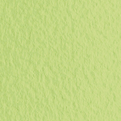 Бумага для пастели (1 лист) FABRIANO Tiziano А2+ (500х650 мм), 160 г/м2, салатовый теплый, 52551011