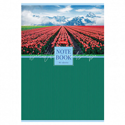 Тетрадь А4 80 л., HATBER, скоба, клетка, глянцевая ламинация, "Живописные пейзажи" (микс), 083006, 80Т4лВ1