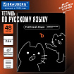 Тетрадь предметная МЕМЫ 48 л., TWIN-лак, РУССКИЙ ЯЗЫК, линия, подсказки, BRAUBERG, 405105