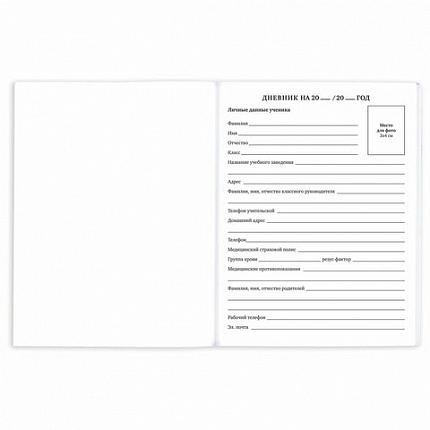 Дневник 1-11 класс 40 л., на скобе, ПИФАГОР, обложка картон, МИКС "Универсальный", 107139