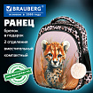 Ранец BRAUBERG STABLE, 2 отделения, с брелком, "Curious leopard", 36х28х16 см, 274387