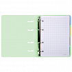 Тетрадь на кольцах А5 175х220 мм, 120 л., пластик с блестками, с резинкой и разделителями, BRAUBERG, Зеленый, 404632
