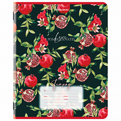 Тетрадь 18 л. BRAUBERG, клетка, обложка картон, ГРАНАТ, 107296