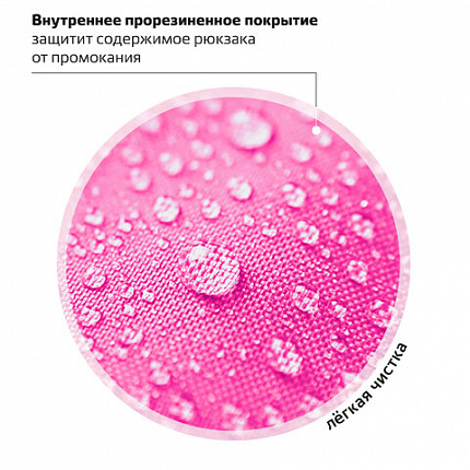 Рюкзак ПИФАГОР SCHOOL, 1 отделение, 3 кармана, "Squirrel", 38x28х14 см, 271404