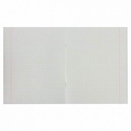 Тетрадь А5, 48 л., HATBER-ECO скоба, офсет №2 ЭКОНОМ, клетка, обложка мелованная бумага, "Голубая", 075742, 48Т5D1_27730