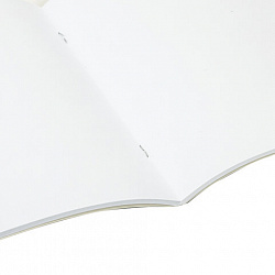 Альбом для рисования, А4, 40 листов, скоба, глянцевый лак, BRAUBERG, 200х285 мм, "Гранаты", 106705