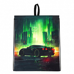 Мешок для обуви BRAUBERG KIDS, с петлей, 42х34 см, "Green city", 274642