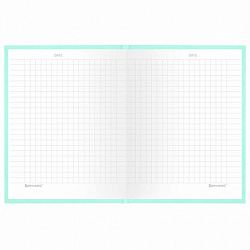 Блокнот МАЛЫЙ ФОРМАТ 110х147 мм, А6, 80 л., твердый, клетка, BRAUBERG "Minimal", мятный, 116451