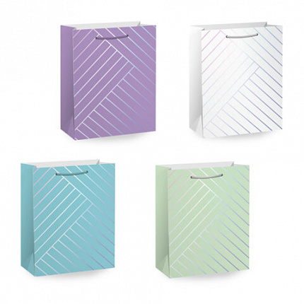 Пакет подарочный (1 штука) 18х10х23см (M) "Leather Bag", ассорти, с тиснением, ЗОЛОТАЯ СКАЗКА, 700811