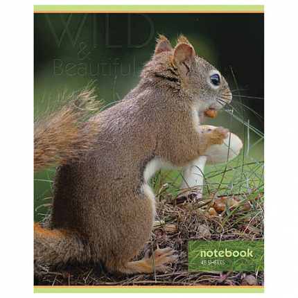Тетрадь А5, 48 л., HATBER-ECO скоба, офсет №2 ЭКОНОМ, клетка, обложка мелованная бумага, "Дикий мир", 075790, 48Т5D1